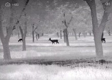 Load image into Gallery viewer, Pulsar - Thermion XP50 - Thermal Scope