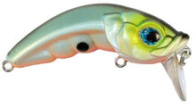 Load image into Gallery viewer, StrikePro - Hunchback Lure - 2 3/4&quot;