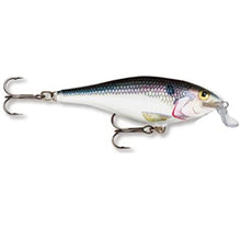 Load image into Gallery viewer, Rapala - Shallow Shad Rap 5